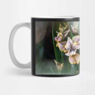 Peacock Butterfly Siberian Iris Mug